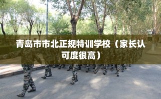 青岛市市北正规特训学校（家长认可度很高）