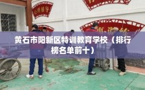 黄石市阳新区特训教育学校（排行榜名单前十）