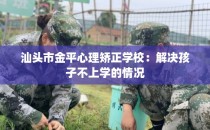 汕头市金平心理矫正学校：解决孩子不上学的情况