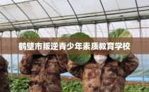 鹤壁市叛逆青少年素质教育学校