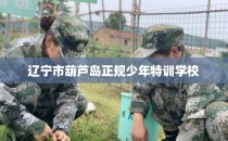 辽宁市葫芦岛正规少年特训学校