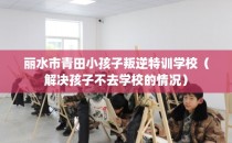 丽水市青田小孩子叛逆特训学校（解决孩子不去学校的情况）