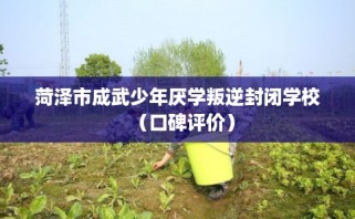 菏泽市成武少年厌学叛逆封闭学校（口碑评价）