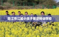 阳江市江城小孩子叛逆特训学校
