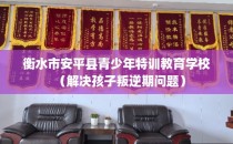 衡水市安平县青少年特训教育学校（解决孩子叛逆期问题）