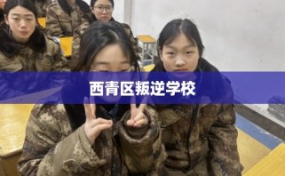 西青区叛逆学校