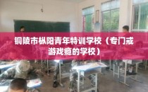 铜陵市枞阳青年特训学校（专门戒游戏瘾的学校）