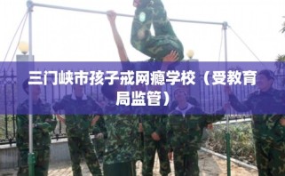 三门峡市孩子戒网瘾学校（受教育局监管）