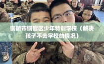 铜陵市铜官区少年特训学校（解决孩子不去学校的情况）
