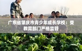 广东省肇庆市青少年成长学校：受教育部门严格监管