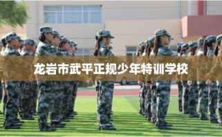 龙岩市武平正规少年特训学校