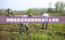 陕西省延安市封闭学校是什么学校