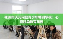 株洲市天元问题青少年特训学校:心理疏导教育学校