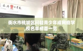 衡水市桃城区问题青少年戒网瘾学校名单榜首一览
