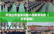 平顶山市宝丰问题小孩教育学校（办学透明）