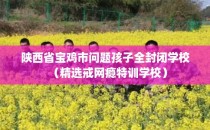 陕西省宝鸡市问题孩子全封闭学校(精选戒网瘾特训学校)
