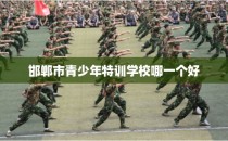 邯郸市青少年特训学校哪一个好
