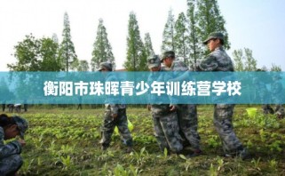 衡阳市珠晖青少年训练营学校