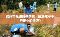 锦州市叛逆管教学校（解决孩子不务正业的情况）