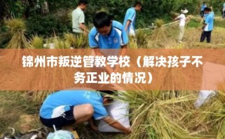 锦州市叛逆管教学校（解决孩子不务正业的情况）