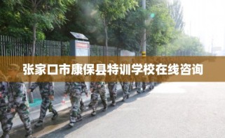 张家口市康保县特训学校在线咨询