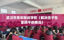 武汉市青年特训学校（解决孩子在家躺平的情况）