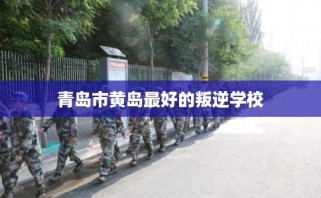 青岛市黄岛最好的叛逆学校