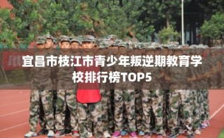 宜昌市枝江市青少年叛逆期教育学校排行榜TOP5