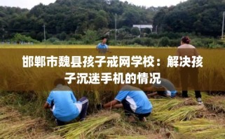 邯郸市魏县孩子戒网学校：解决孩子沉迷手机的情况