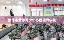 焦作市武陟青少年心理辅导学校