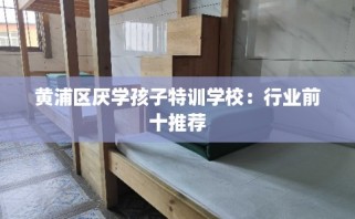 黄浦区厌学孩子特训学校：行业前十推荐