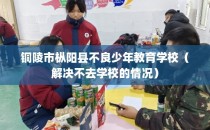 铜陵市枞阳县不良少年教育学校（解决不去学校的情况）