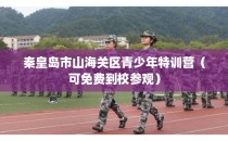 秦皇岛市山海关区青少年特训营（可免费到校参观）