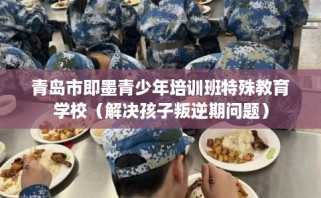 青岛市即墨青少年培训班特殊教育学校（解决孩子叛逆期问题）