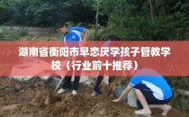 湖南省衡阳市早恋厌学孩子管教学校（行业前十推荐）