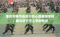 重庆市奉节县青少年心理辅导学校：解决孩子不上学的情况