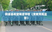 铜梁县希望叛逆学校（受教育局监管）