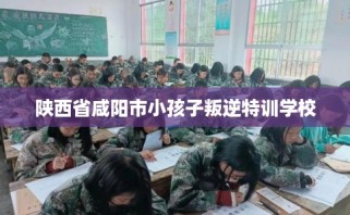陕西省咸阳市小孩子叛逆特训学校
