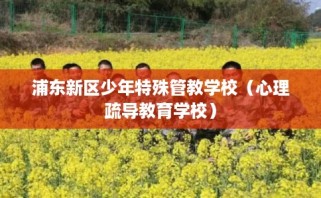 浦东新区少年特殊管教学校（心理疏导教育学校）