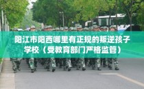 阳江市阳西哪里有正规的叛逆孩子学校（受教育部门严格监管）