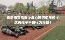 青岛市黄岛青少年心理咨询学校（改善孩子不良行为习惯）