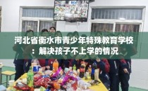 河北省衡水市青少年特殊教育学校：解决孩子不上学的情况
