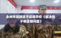 永州市双牌孩子戒网学校（解决孩子叛逆期问题）