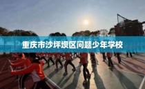 重庆市沙坪坝区问题少年学校