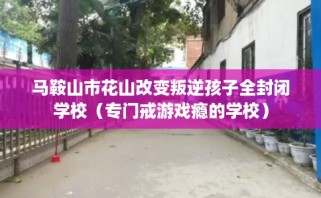 马鞍山市花山改变叛逆孩子全封闭学校（专门戒游戏瘾的学校）