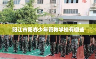 阳江市阳春少年管教学校有哪些