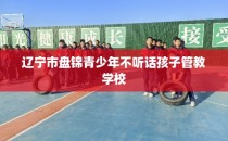 辽宁市盘锦青少年不听话孩子管教学校