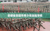 安徽省阜阳市青少年训练学校