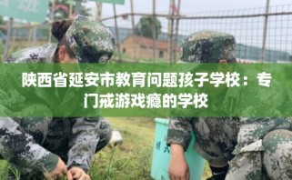 陕西省延安市教育问题孩子学校：专门戒游戏瘾的学校