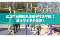 武汉市蔡甸区叛逆孩子特训学校（解决不上学的情况）